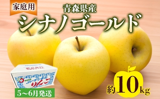 家庭用 シナノゴールド 約10kg りんご リンゴ 青森 林檎 果物 フルーツ くだもの お取り寄せ 贈り物 プレゼント 産地直送 送料無料 青森県 西目屋村 お届け：5月下旬から随時お届け