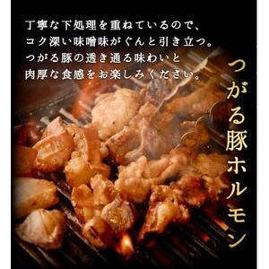 津軽豚の味噌サガリ＆ホルモンセット (850g)保存料・化学調味料無添加【配送不可地域：離島】【1450682】