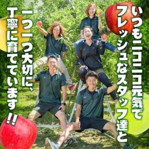 【令和6年産先行予約】皮ごとバリッ!葉とらずサンふじ特A　約5kg(12～20個入り)【配送不可地域：離島・沖縄県】【1342135】