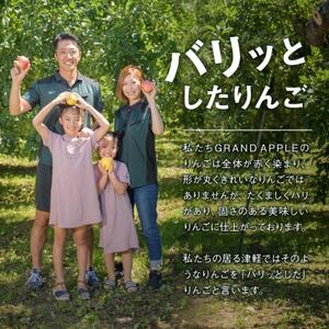 【令和6年産先行予約】皮ごとバリッ!葉とらずサンふじ特A　約5kg(12～20個入り)【配送不可地域：離島・沖縄県】【1342135】