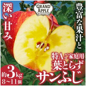 〈令和6年産先行予約〉皮ごとバリッ!葉とらずサンふじ　特Aご家庭用 約3kg【配送不可地域：離島・沖縄県】【1353849】