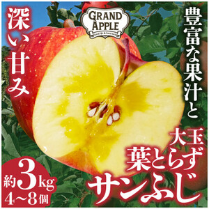 ☆令和6年産先行予約☆【大玉指定】葉とらずサンふじ　特Aご家庭用3kg【配送不可地域：離島・沖縄県】【1344023】