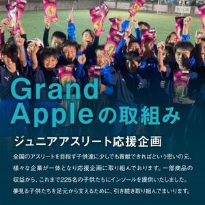 〈令和6年産先行予約〉産地直送　葉とらずサンジョナゴールド　特A　約5キロ【配送不可地域：離島・沖縄県】【1241958】