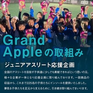 皮ごとバリッ!　トキ　訳あり　約4キロ【配送不可地域：離島・沖縄県】【1428761】