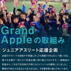 〈令和6年産先行予約〉産地直送　葉とらずサンふじ　訳あり　約4kg【配送不可地域：離島・沖縄県】【1428763】