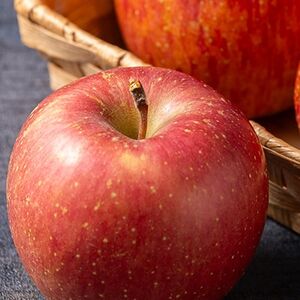 サンふじ 家庭用 約5kg(14~20個)_果物・フルーツ りんご リンゴ 林檎_【配送不可地域:離島・沖縄県】【1240457】