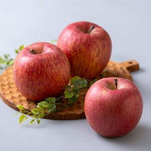 サンふじ 家庭用 約5kg(14~20個)_果物・フルーツ りんご リンゴ 林檎_【配送不可地域:離島・沖縄県】【1240457】