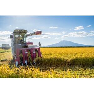 青森県産 【ナリミツ農園】特栽はれわたり　白米5kg_ 精米 米 _【配送不可地域：離島・沖縄県】【1565537】