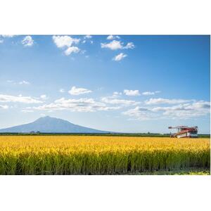 青森県産 【ナリミツ農園】特栽はれわたり　白米5kg_ 精米 米 _【配送不可地域：離島・沖縄県】【1565537】