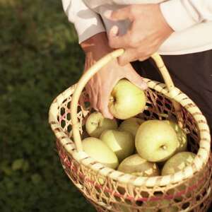 【産地直送】「王林」りんご 家庭用 5kg(12~20個)【配送不可地域:離島・沖縄県】【1667204】