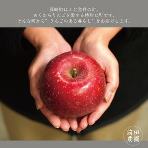 【産地直送】サンふじ 家庭用 3kg(7~10個)【配送不可地域:離島・沖縄県】【1663938】