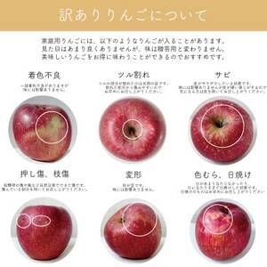 【産地直送】サンふじ 家庭用 3kg(7~10個)【配送不可地域:離島・沖縄県】【1663938】