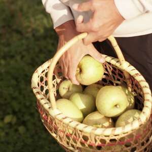 【産地直送】王林 贈答用 3kg(7～10個)【配送不可地域：離島・沖縄県】【1663939】