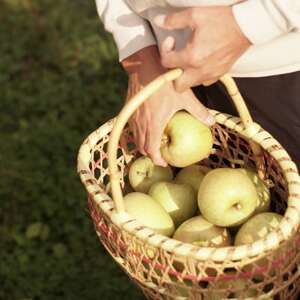 【産地直送】王林 家庭用 3kg(7~10個)【配送不可地域:離島・沖縄県】【1663940】