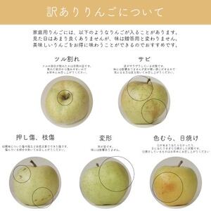 【産地直送】王林 家庭用 3kg(7~10個)【配送不可地域:離島・沖縄県】【1663940】