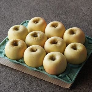 【産地直送】シナノゴールド 家庭用 3kg(7~10個)【配送不可地域:離島・沖縄県】【1663950】