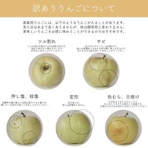 【産地直送】シナノゴールド 家庭用 3kg(7~10個)【配送不可地域:離島・沖縄県】【1663950】