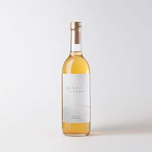 百年林檎ジュース「CENTURY」 720ml 2本セット 無添加ストレート【1110498】