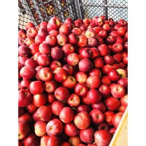 【青森のワイナリー サンマモルワイナリー】フルーツワイン・ワインビネガー・ビーフシチューセット【1488781】