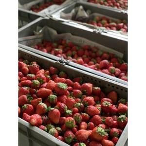 【青森のワイナリー サンマモルワイナリー】フルーツワイン・ワインビネガー・ビーフシチューセット【1488781】