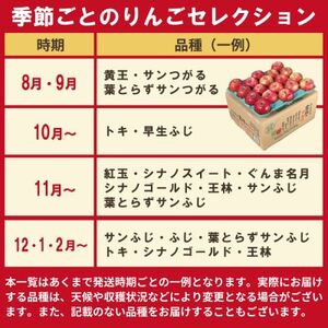 【12月~翌年3月出荷予定】りんご 品種おまかせ 約3kg 訳あり【配送不可地域:離島・沖縄県】【1668106】