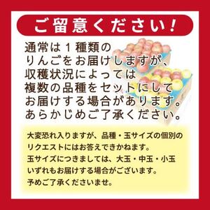 【12月~翌年3月出荷予定】りんご 品種おまかせ 約3kg 訳あり【配送不可地域:離島・沖縄県】【1668106】