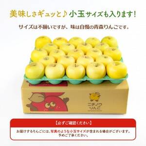 青森県産りんご 訳ありシナノゴールド約5kg【配送不可地域:離島・沖縄県】【1703799】