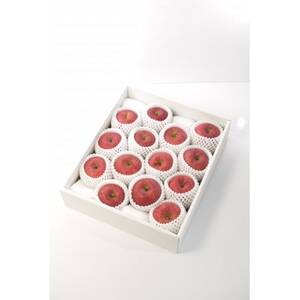 青森県産りんご「サンふじ」贈答用 約5kg【1635386】