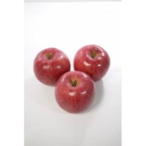 青森県産りんご「サンふじ」贈答用 約5kg【1635386】