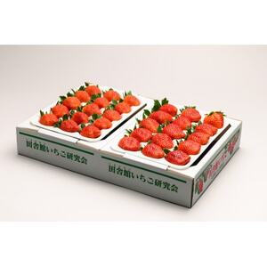 田舎館村産いちご とちおとめ【大粒】 贈答用【配送不可地域：離島】【1637919】
