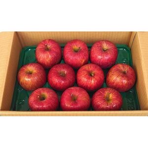 青森県産りんご 3kg(1箱※7～12個入り)【1672875】