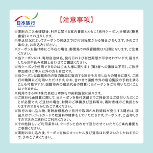 地域限定 旅行クーポン 60,000円分（郵送） 北海道 函館市 日本旅行 函館市内 1泊以上 交通費 現地 旅行 観光 体験 宿泊 クーポン 精算 幅広く 利用 有効期限 5年間 郵送 簡易書留 函館 五稜郭 湯の川 温泉 函館山 送料無料_HD131-003