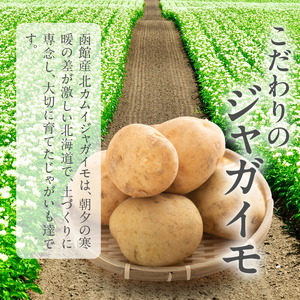 函館産北カムイジャガイモ「感動の和風ビシソワーズ」150g×5袋入_HD041-001