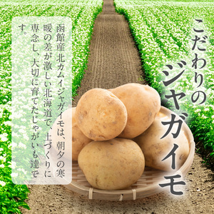 函館産北カムイジャガイモ「感動の和風ビシソワーズ」150g×10袋入_HD041-002