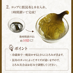 函館熟成がごめ昆布 根昆布 昆布 根昆布 海の幸 海鮮 北海道 函館市 ふるさと納税 お取り寄せ 送料無料_HD038-034