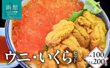 塩水ウニパック100g・いくら醤油漬200g 塩水うに うに いくら イクラ?油漬け 海鮮 おつまみ 北海道 函館市 ふるさと納税 お取り寄せ 送料無料_HD149-022