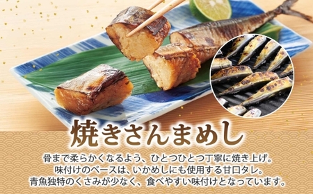 函館名産 ヱビスのいかめし 2パック 計4尾 焼きさんまめし 2尾 セット 北海道 いかめし さんま 北海道米 もち米 うるち米 醤油だれ 魚介類 加工品 常温 手軽 送料無料 エビスパック 函館市_HD215-009