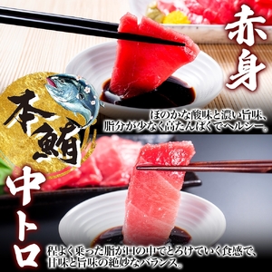 大間産 本マグロ 2種 赤身 中トロ 各 約160g 柵 まぐろ クロマグロ 柵取り 旨味 香り 甘味 天然 国産 黒いダイヤ 津軽海峡 水揚げ 大間まぐろ 北海道産 寿司 刺身 炙り 海鮮 お取り寄せ 人気 冷凍 鮪斗 北海道 函館市 送料無料_HD144-010