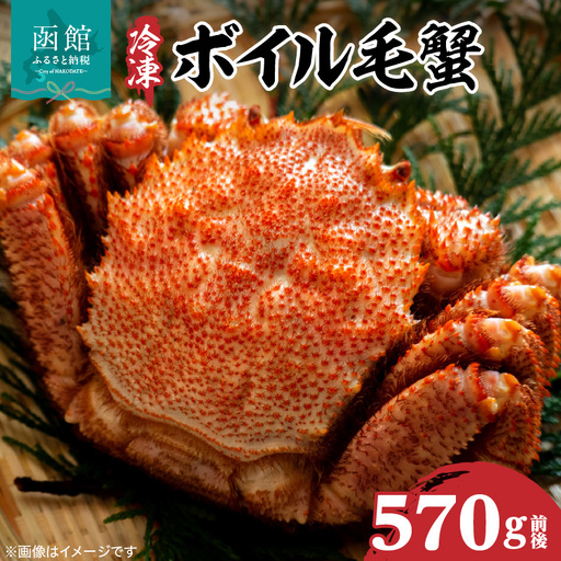北海道産毛蟹　570g 瞬間冷凍 カニ 毛蟹 _HD069-031