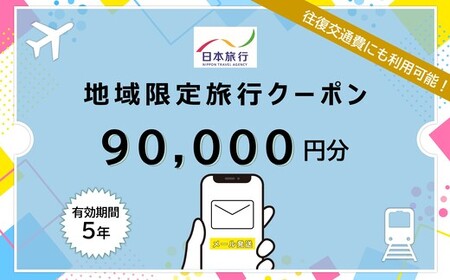 北海道函館市　日本旅行　地域限定旅行クーポン90,000円分（Eメール発行）_HD131-010