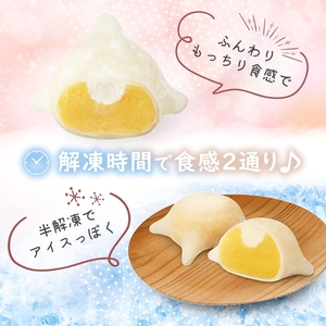 北海道 はこだて 雪んこ 2種 各 1箱 6個入り 計 2箱 無地熨斗 アソート 北海道産 さつまいも かぼちゃ スイートポテト ふわふわ もちもち 大福 アイス スイーツ デザート 菓子 お取り寄せ 嘉福堂キッチン カドウフーズ 送料無料 函館市_HD142-023