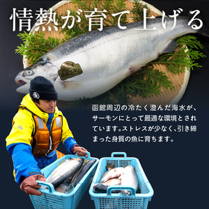 先行予約 函館サーモン 450g 2026年6月発送 サーモン_HD231-018