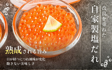 自家製 塩だれ いくら 80g × 2本 セット 小分け 塩いくら ごはんに合う 函館朝市 鮭卵 魚介 海鮮 イクラ丼 海鮮丼 冷凍配送 お取り寄せ お取り寄せグルメ 北海道 函館市 送料無料_HD032-058