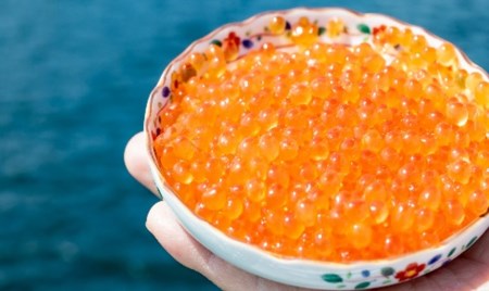 大粒 厳選 いくら いくら丼 いくら醤油 醤油イクラ 250g 秋鮭 鮮度 醤油 北海道産 秋鮭卵 限定 期間限定 季節限定 函館市 北海道 函館 送料無料_HD196-001