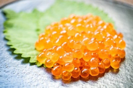 大粒 厳選 いくら いくら丼 いくら醤油 醤油イクラ 250g 秋鮭 鮮度 醤油 北海道産 秋鮭卵 限定 期間限定 季節限定 函館市 北海道 函館 送料無料_HD196-001