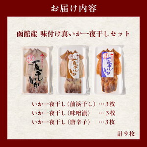 函館産 いか 味付け 一夜干し 9枚セット おつまみ_HD010-005