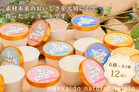 北海道 ナチュラルジェラート 厳選！12個セット（6種各2個） アイス アイスクリーム 詰め合わせ バニラ ミルク レアチーズ チョコレート ヨーグルト かぼちゃ 北海道 函館 はこだて_HD093-001