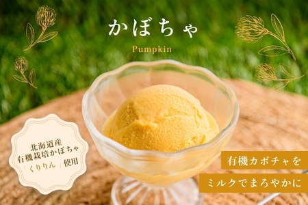 北海道 ナチュラルジェラート 厳選！12個セット（6種各2個） アイス アイスクリーム 詰め合わせ バニラ ミルク レアチーズ チョコレート ヨーグルト かぼちゃ 北海道 函館 はこだて_HD093-001