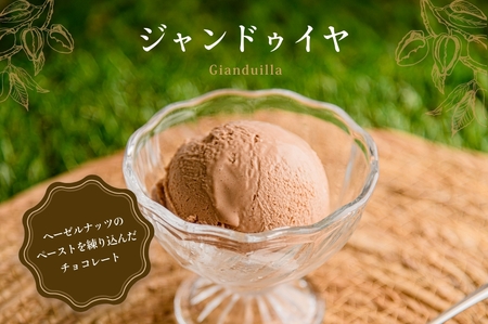 北海道 ナチュラルジェラート 厳選！12個セット（6種各2個） アイス アイスクリーム 詰め合わせ バニラ ミルク レアチーズ チョコレート ヨーグルト かぼちゃ 北海道 函館 はこだて_HD093-001