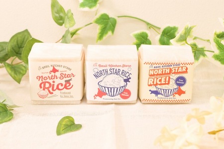 鮮度そのまま 北海道米ふっくりんこ(真空パック) 2合×9袋 お米 米 白米 北海道産 アウトドア キャンプ 函館 はこだて ふるさと_HD106-002